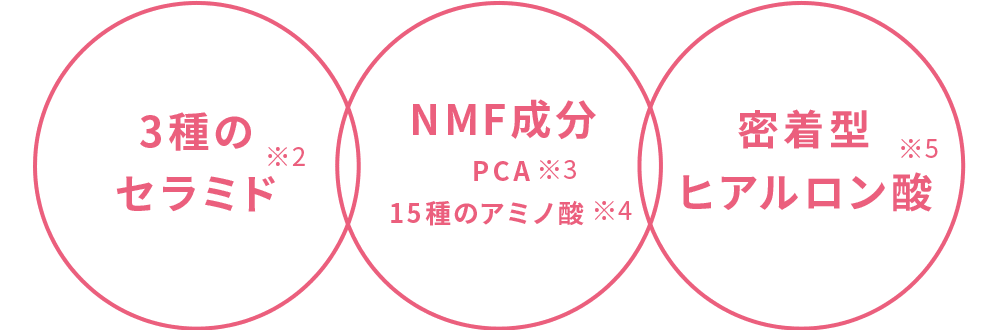 3種のセラミド・NMF成分・密着型ヒアルロン酸