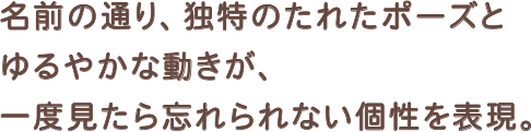 名前の通り、独特のたれたポーズとゆるやかな動きが、一度見たら忘れられない個性を表現。