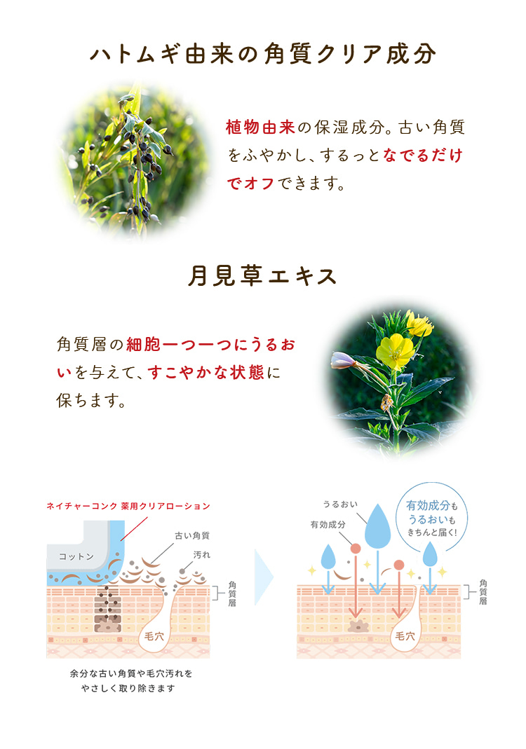 ハトムギ由来の角質クリア成分