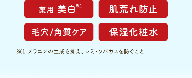 美白　肌荒れ防止　毛穴/角質ケア　保湿化粧水