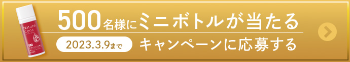 キャンペーンに応募する